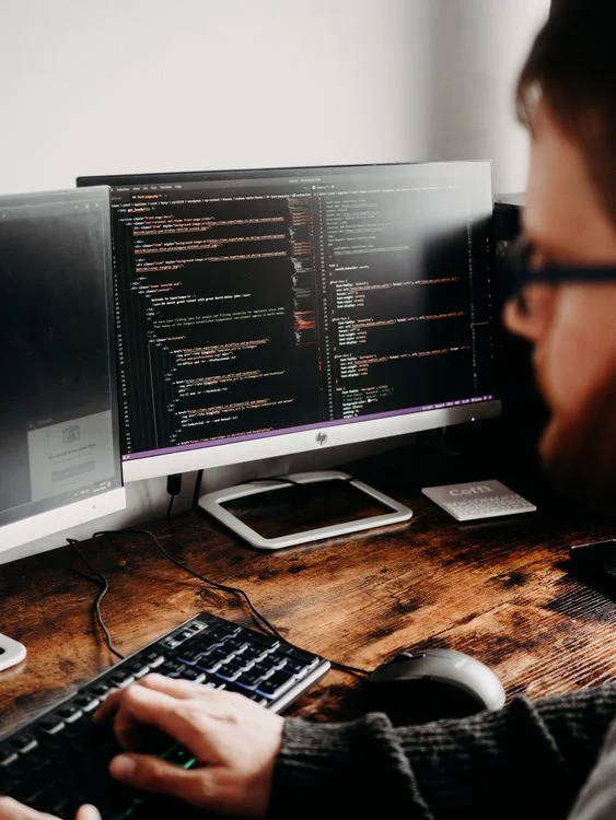 Representative software developer workspace